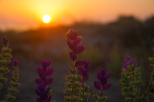 image026