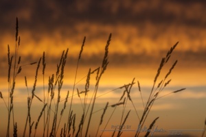image056